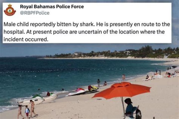 10-year-old American boy bitten by shark at Bahamas resort