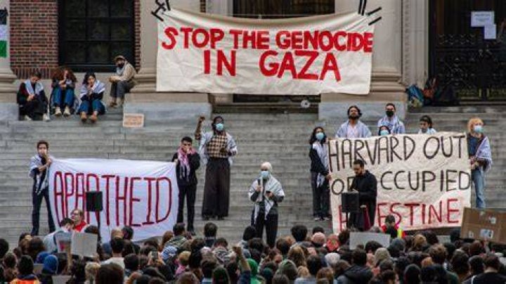 2 LA charter school teachers removed for teaching 1st graders about 'genocide in Palestine'