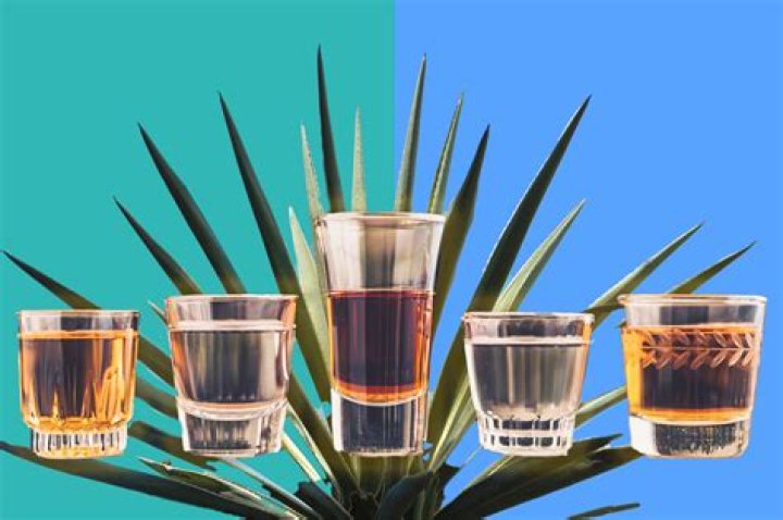 24 best tequila brands of 2023 for sipping or mixing margaritas