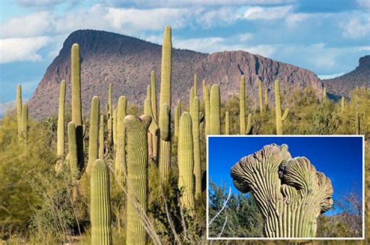Ancient religious stones hiding secret message only visible at night