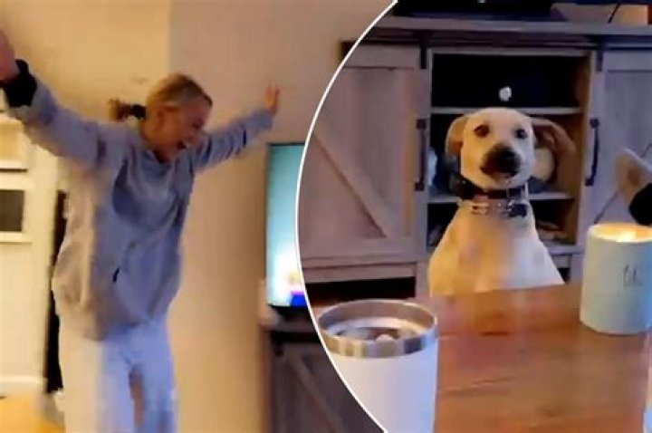 Does this dog say ‘I love you’? Hear it for yourself (Video)