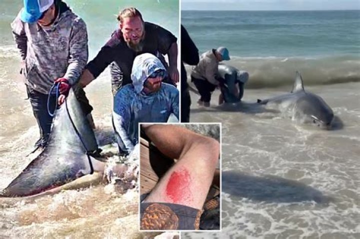 Father of Russian man mauled by shark says attack was 'destiny'