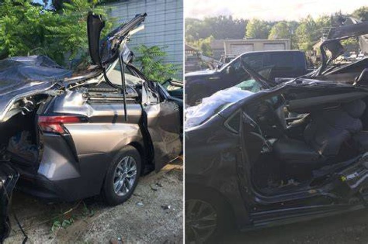 FDNY member killed when tree fell on SUV in North Carolina