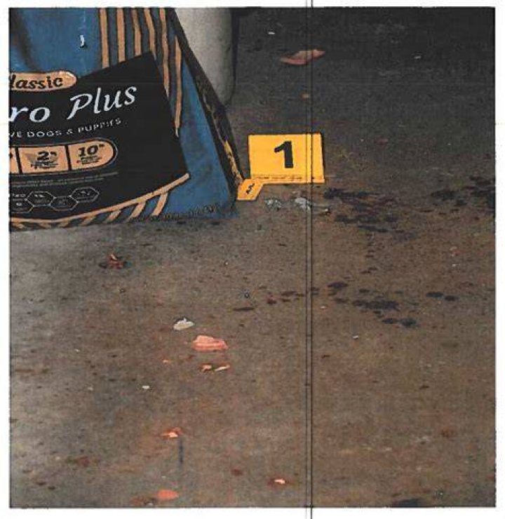 Forensic report reveals gruesome details about Paul, Maggie