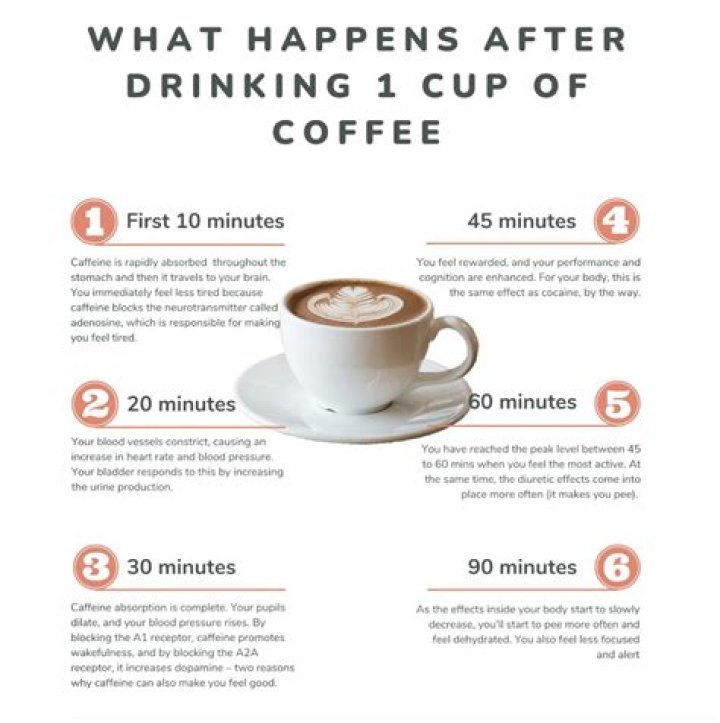 Here's how much coffee you should drink every day to lose weight