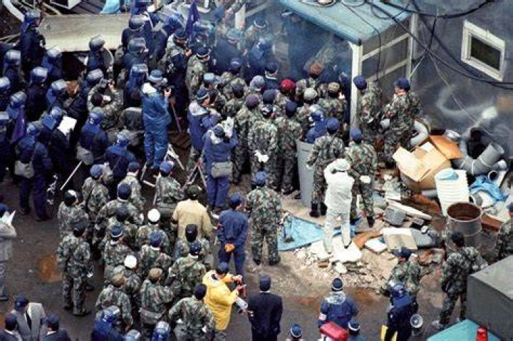How a yoga studio turned into a doomsday cult that drank blood