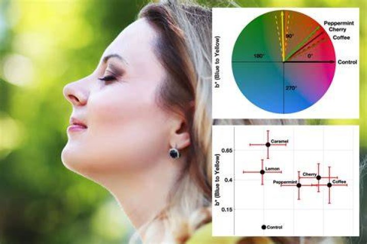 How our sense of smell changes the colors we see