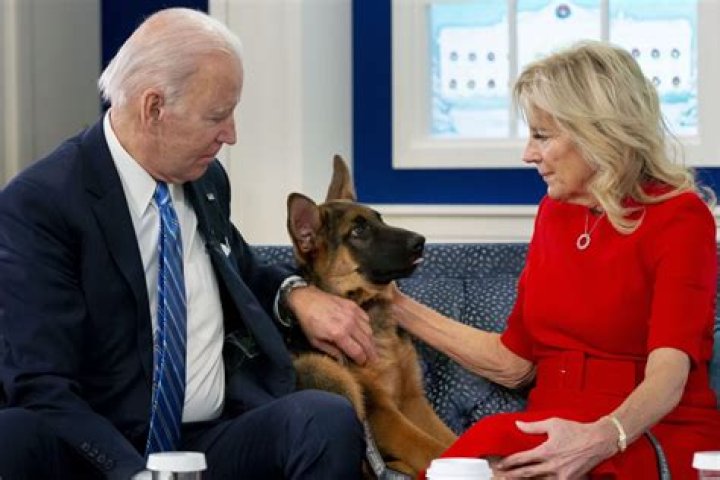 Joe Biden's dog bit more people than disclosed, emails show