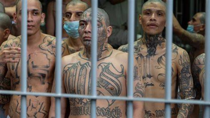 Killer MS-13 gangsters are being bused into our communities as 'minors'