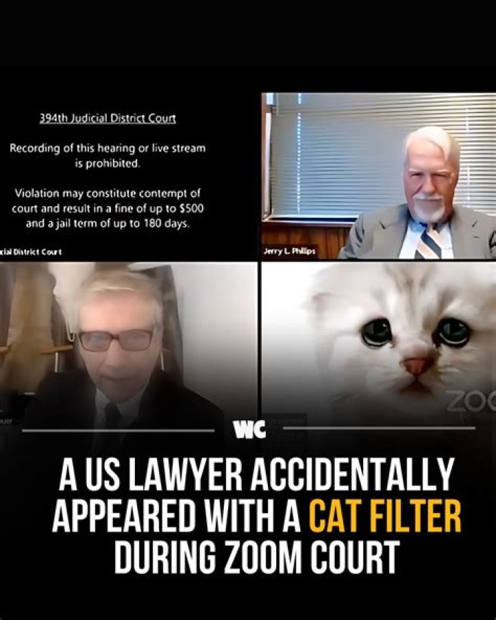 Lawyer who appeared in Zoom hearing as cat wants to cash in