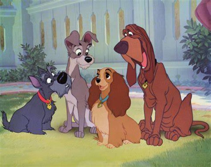 Meet the real dogs of Disney’s new ‘Lady and the Tramp’