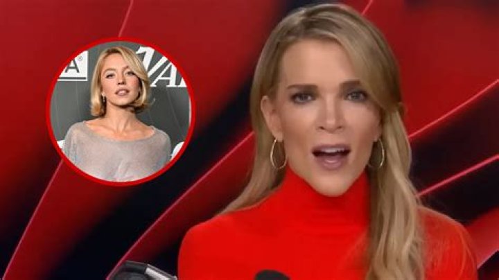 Megyn Kelly blasts 'open penis showing' at Pride parades with kids