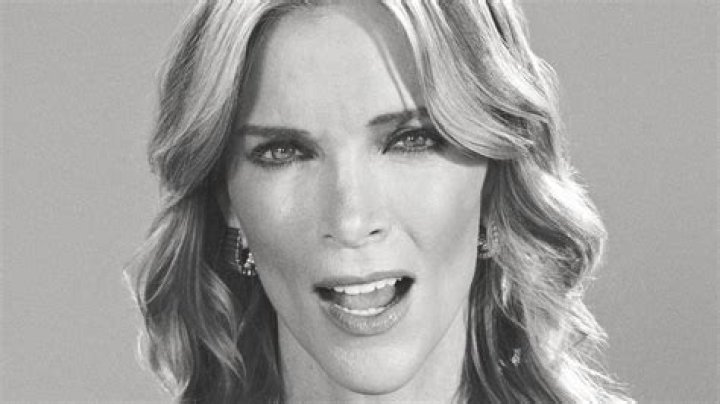 Megyn Kelly rips backlash over 'conservative dad' pinup calendar