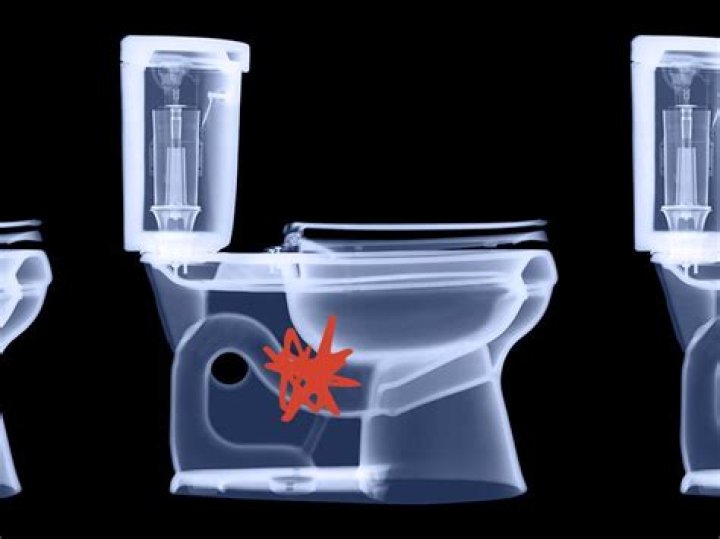My butt is so big it breaks toilet seats