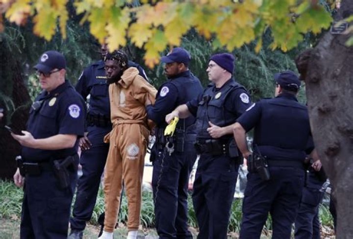 Police tried arresting us for LSU cigar celebration