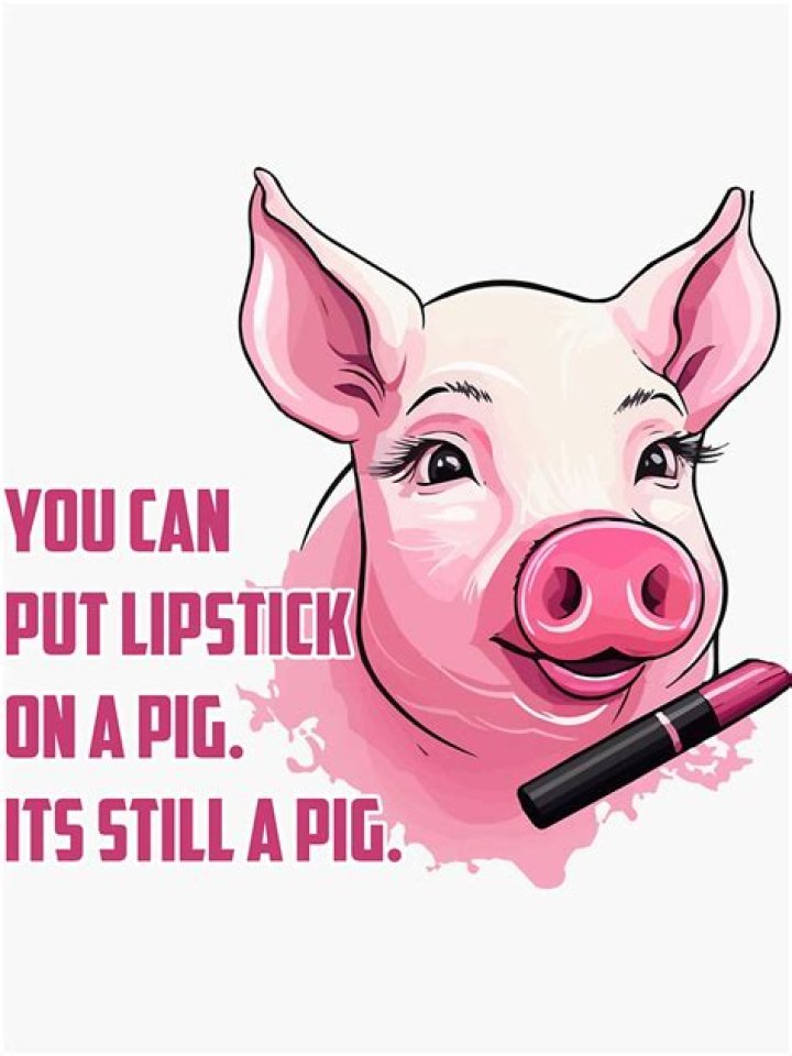 PUT LIPSTICK ON A PIG, IT’S STILL A PIG