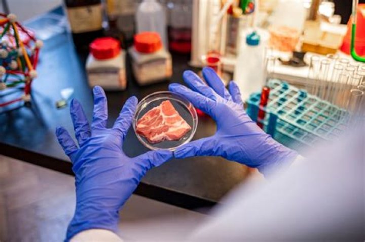 Scientists send lab-made bacon to people with red-meat allergy for study