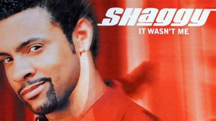 Shaggy explains meaning of 'It Wasn't Me': 'Anti-cheating song'