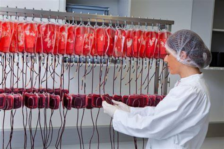 The strange dark world of the for-profit blood industry