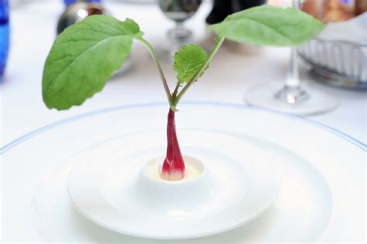 This is the most overpriced restaurant in New York City