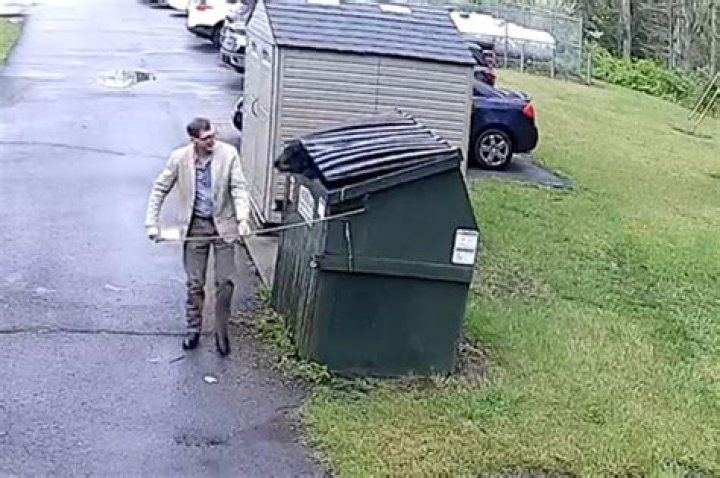 West Virginia principal startled by black bear in school dumpster