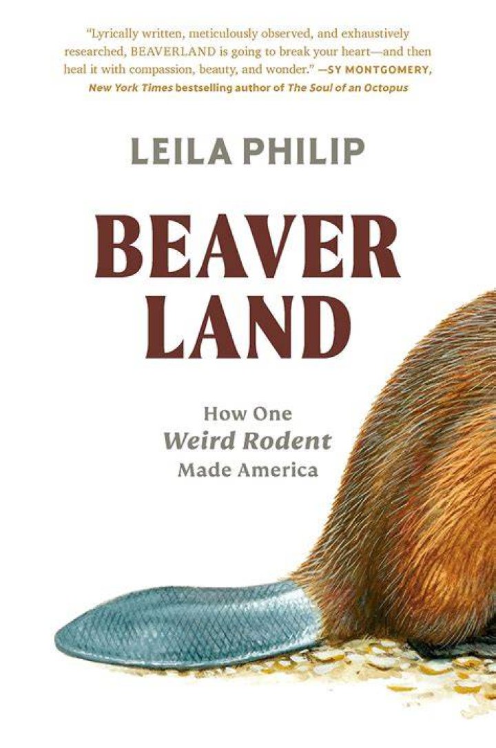 Why beavers are so much cooler than you ever thought